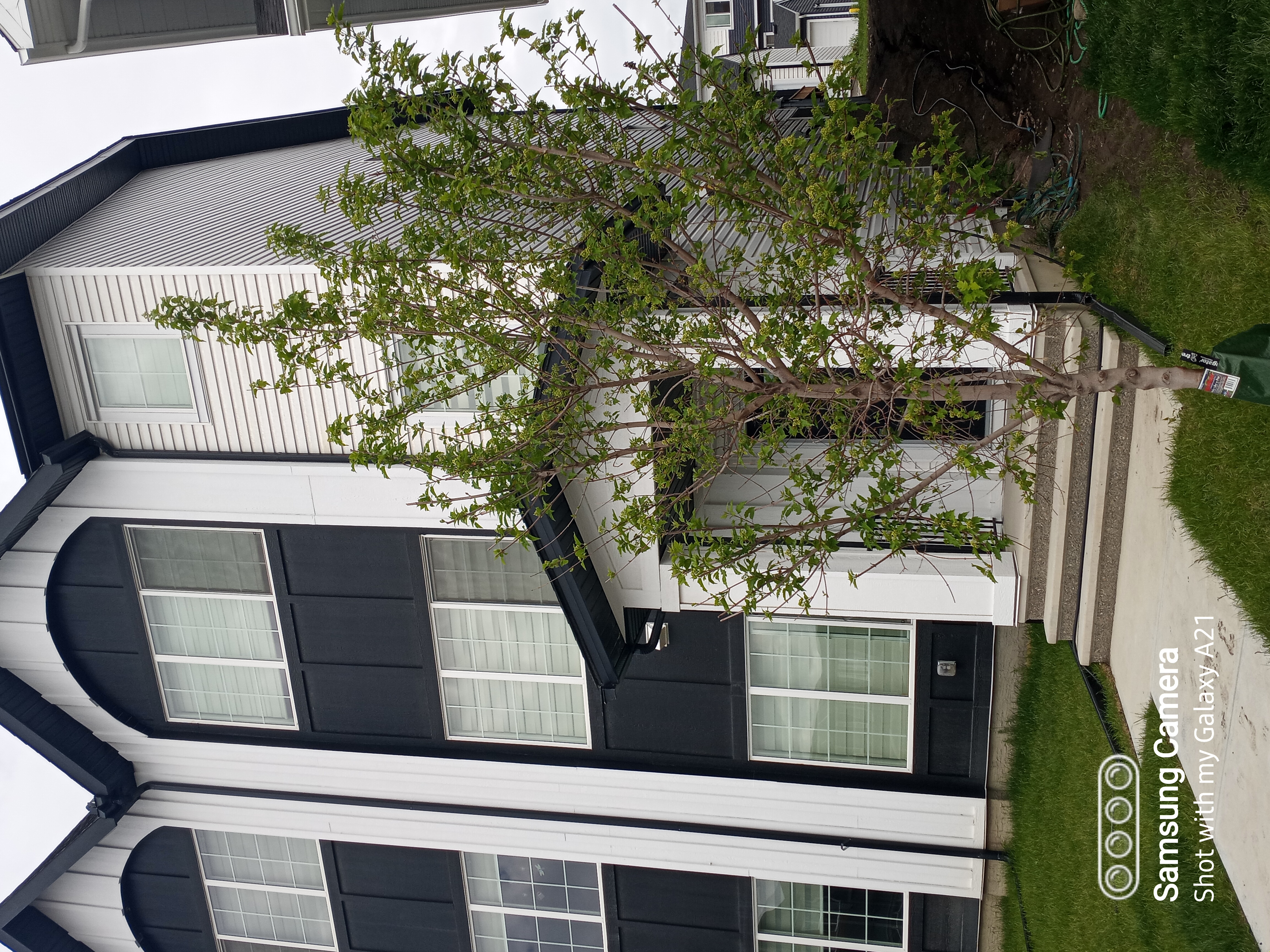 462 Carringvue Grove, NW Calgary, 3+BD FLEXIBLE LEASE OPTIONS AVAIL SEPT 1